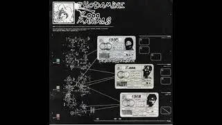 RHODAMINE - 2000 MANIACS