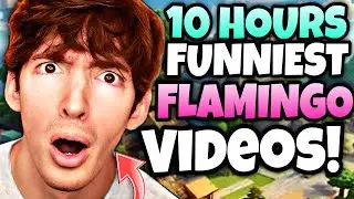 🌟10 HOURS🌟 Of Flamingo Roblox - Funniest Videos (Flamingo Marathon)