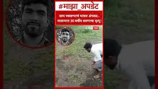 Jalna Snake Bite :साप पकडण्याचं धाडस अंगलट.. जालन्यात 30 वर्षीय तरुणाचा मृत्यू!