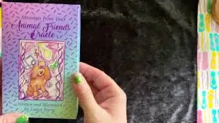 Pet Oracle Deck Review, Messages From Your Animal Friends