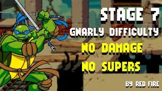 TMNT: Shredder's Revenge - Stage 7 No Damage / No Supers [Gnarly] - Leonardo