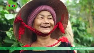 Bản tin trưa 29/12: Mức thưởng Tết Nguyễn đán Bính Ngọ: TP. Hồ Chí Minh cao nhất 1,8 tỷ đồng | VTV
