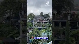 Resto d'Rojo Kemuning (view bagus)