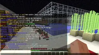 ddos de WindBirdz