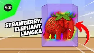Brainrot Terbaru Strawberry Elephant Yang Super Langka! - Merge Fellas