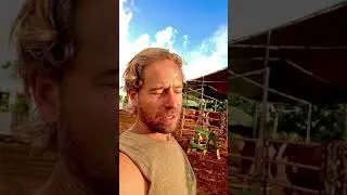 Feeding time in the morning 2/22/21.  Meet the horses off HHK, Healing Horses Kauai.