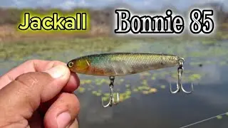 Bonnie 85 Jackall