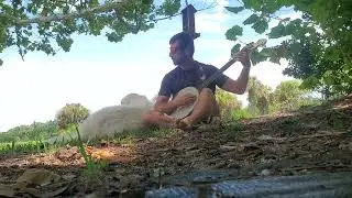 original banjo tune- thumb style- Gold Tone CC Carlin