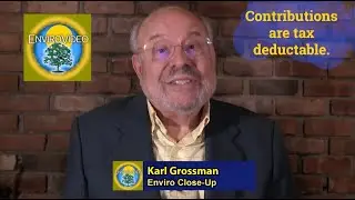 EnviroVideo Sampler