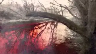 Funeral Fornication - The Thorn Of Capricorn