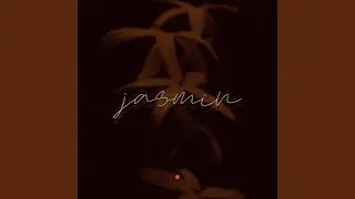Jasmijn