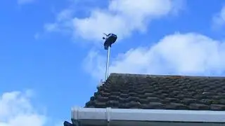 DSCF2385