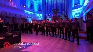 Stoji mi polje, Jabuko rudeče