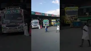 Chola/B.V.Rangaraj/ Shri Kumaran 3 Buses @ Salem Bus stand || #shorts #privatebus