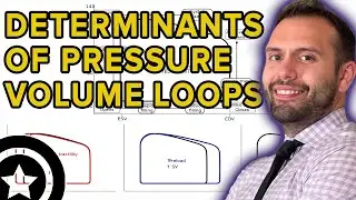 Determinants of Pressure Volume Loops | HIGH-YIELD CARDIOLOGY | USMLE STEP 1