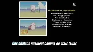 Générique de fin Tama & ses amis avec lyrics