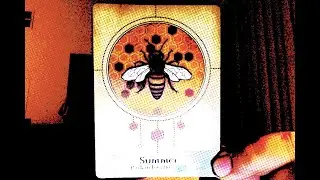 Summertime and the Living is Easy: Oracle card reading for Feb 15th