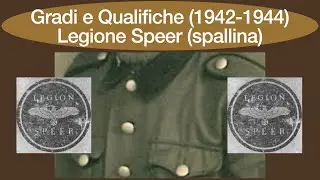 Gradi e Qualifiche Legione Speer (1942-1944) - Spallina