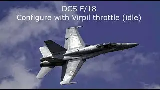 OUTDATED See link below - Virpil Throttle - DCS F/18 setting up idle config tutorial
