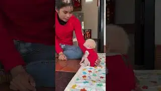#monkey Duke #smart monkey #funny monkey #cute monkey