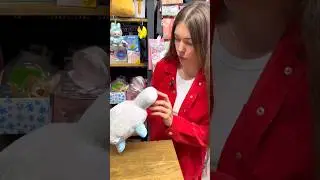 Пеббл Мир Денди милаш 🥰❤️ WB 179749146✅ #мирденди #dandysworld #игрушки #магазинигрушек #денди