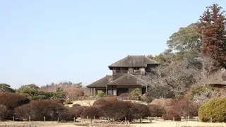 偕楽園に行ってきた