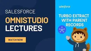 Lecture 7 :- Field Level Security & Parent Data in Turbo Extract | OmniStudio DataMapper Tutorial