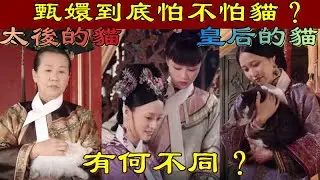 甄嬛到底怕不怕貓？太后的貓與皇后的貓，有何不同？【小胖妮子撩後宮】