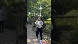 Time in Blackpool Zoo
