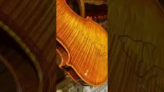 Scott Cao Violin - Copy of Da Salo - STV1000