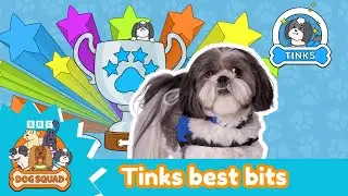Tinks the Disability Assistance Dog | BEST BITS | Dog Squad | CBeebies