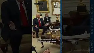 Trump talks about price of eggs