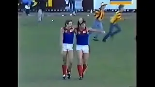 1984 VFL - Melbourne v Hawthorn - Round 13 - Princes Park