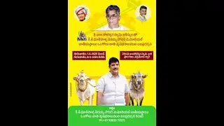 DV CHOWDARY ONGOLE BULL RACE @ VADLAMUDI (GUNTUR) 07-05-2025 ( DAY - 7 )