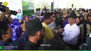 Negara Hadir Pulihkan Sawah Sumatera, Mentan Amran Pastikan Rehabilitasi 98 Ribu Hektar
