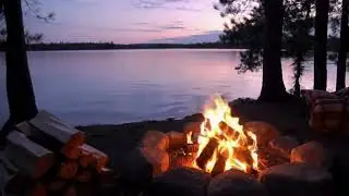 Cozy Fireplace with Crackling Fire Sounds - 1 Hour Relaxing Ambience for Sleep & Study