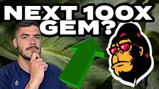 FEG UPDATE: FEGEX 2.0 COMING SOON!!