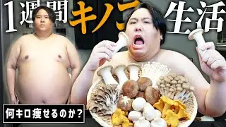 【検証】154kgのデブが1週間キノコだけで生活したら何キロ痩せるのか？