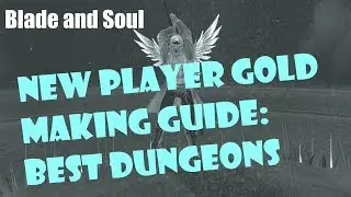 [Blade and Soul] New Player Gold Making Guide: Best Dungeons!
