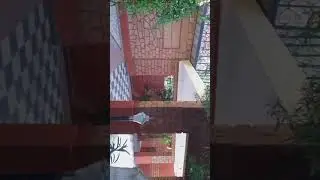 Shikargrah Palace Jodhpur RESORT