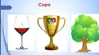 Palabras homógrafas
