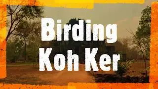 Koh Ker Birding Tour Destination in Cambodia