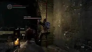 Punch Punch Forever with Friends! - Dark Souls Remastered Co-op
