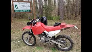 Honda XR650L - Solo Single Track riding in Limerick Forest, May 16, 2020