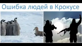 Инстинктивная реакция при теракте. Стратегия выживания.