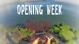 Открытие недели рыбалки в Нью-Джерси! (Jetty Fishing 2018)