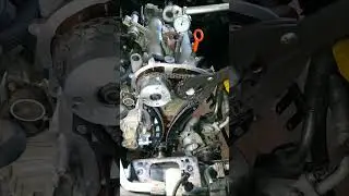 Без шпонок и с индикатором часового типа - установка цепи ГРМ 1.6 FSI  VW, AUDI, SEAT, SKODA.
