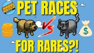 I Ran Pet Races for BIG RARES | #Habbo Hotel Origins