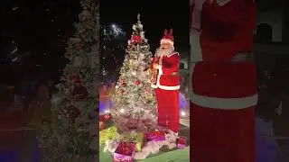 Jingle bells Jingle bells.. 🎁🥳 #shortvideo #Christmasday #Christmastree #santaclaus #Christmas2025