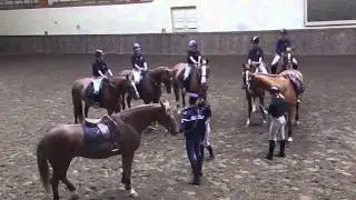 2chutes et un cheval cabré ... vive la rentrée!!!